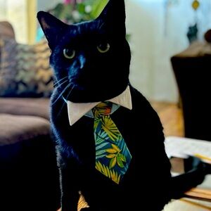 Meet your Posher, Ana